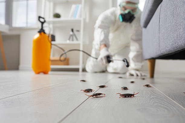 Post-Treatment Bed Bug Interceptor Monitoring in Covelo
