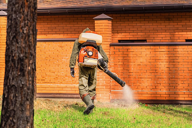 Bed Bug Clearance Verification and Documentation in Covelo
